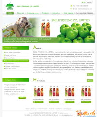 外貿公司網站開發與設計 打造專業、高效的數字門戶